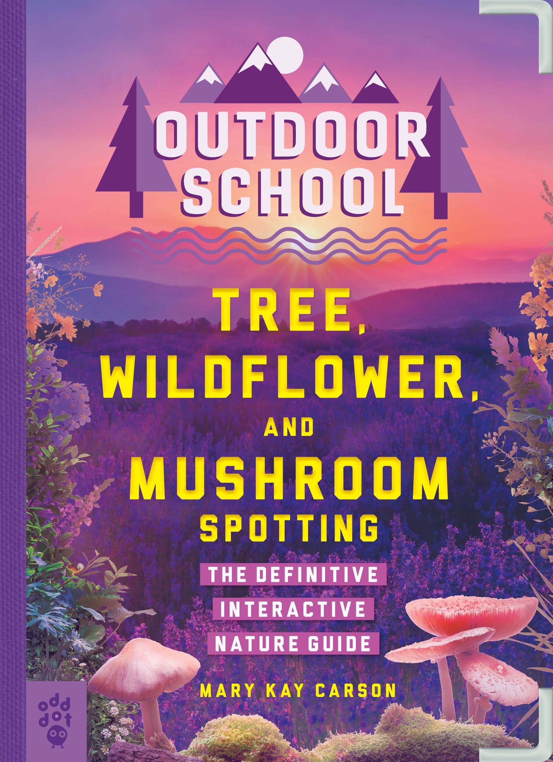 outdoor school